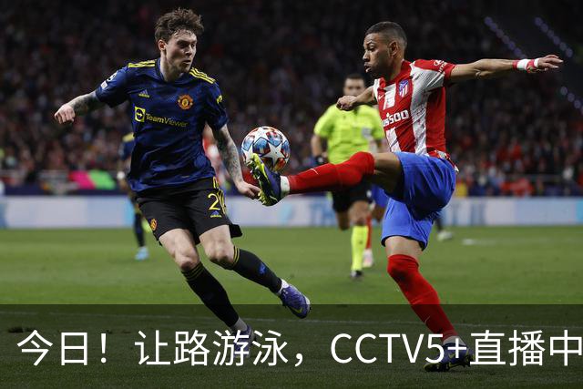 今日！让路游泳，CCTV5+直播中国男篮VS伊朗，郭士强率爱将胡明轩等CBA球员冲击亚运会铜牌